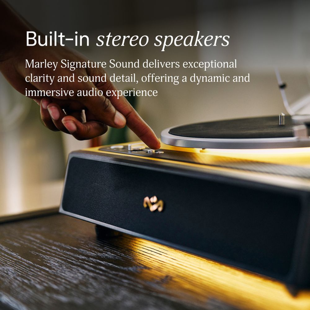 פטיפון SOUL REBEL ALL IN ONE – תמונה 2